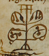 Signum Tabellionis