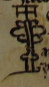 Signum Tabellionis
